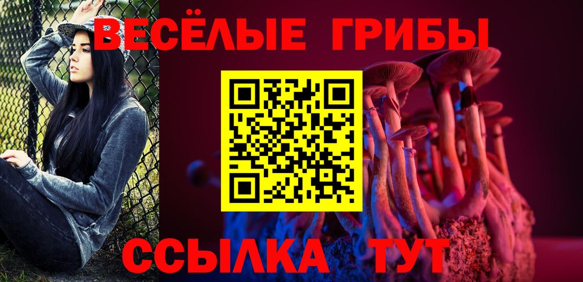 где купить наркоту  Вход с VPN  Орск  Псилоцибиновые грибы Cubensis 